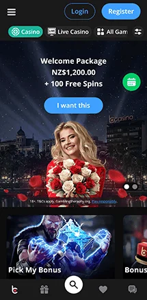 bcasino login overview